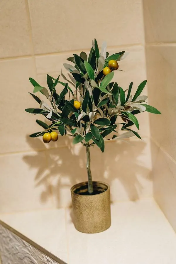 Apartment Villa Saint Lucas Split